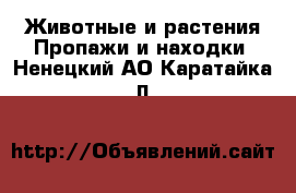 Животные и растения Пропажи и находки. Ненецкий АО,Каратайка п.